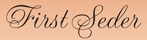 Seder-2013-first.jpg