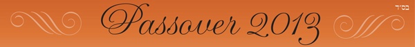 Seder-2013-head.jpg